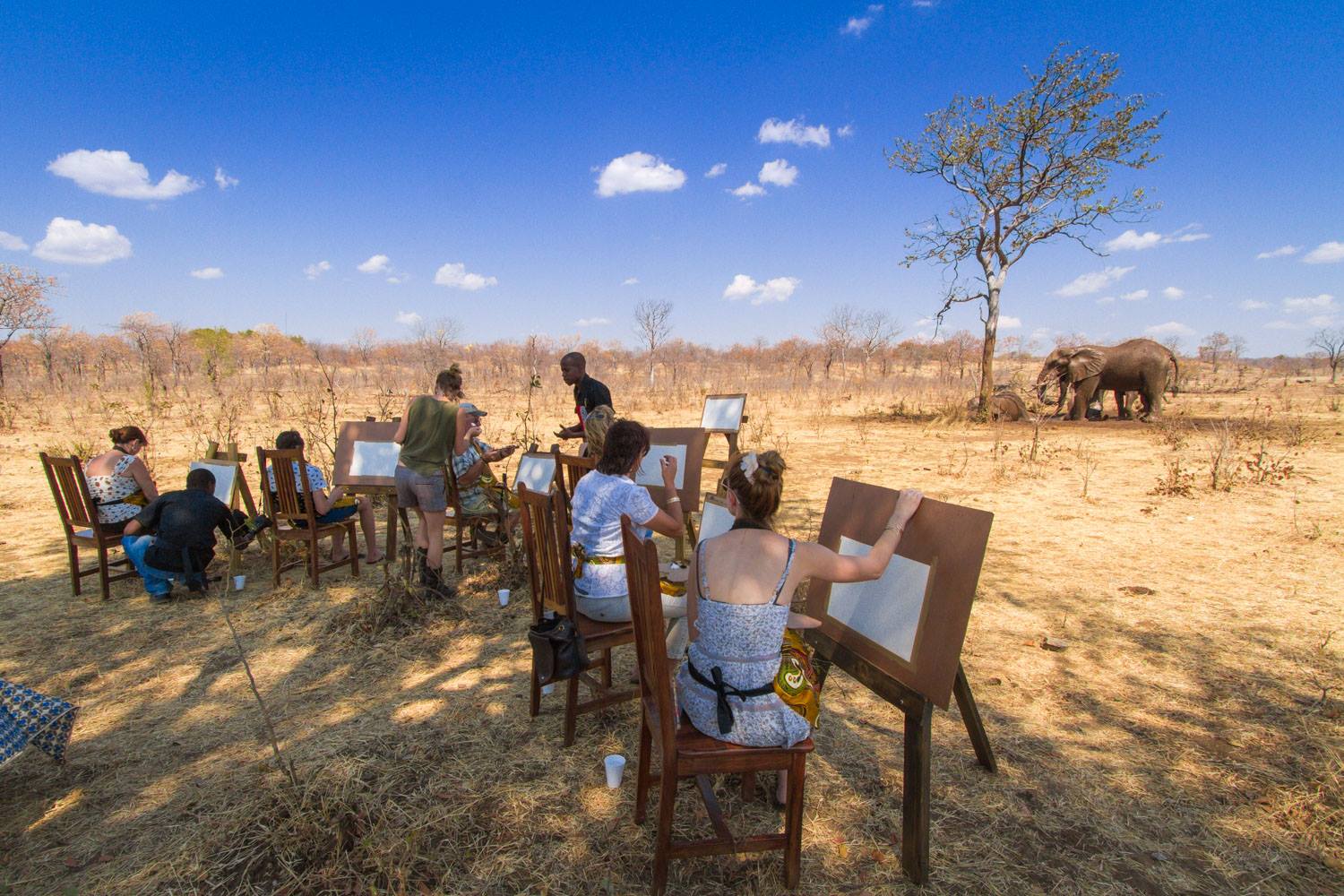 A hands-off elephant experience in Victoria Falls