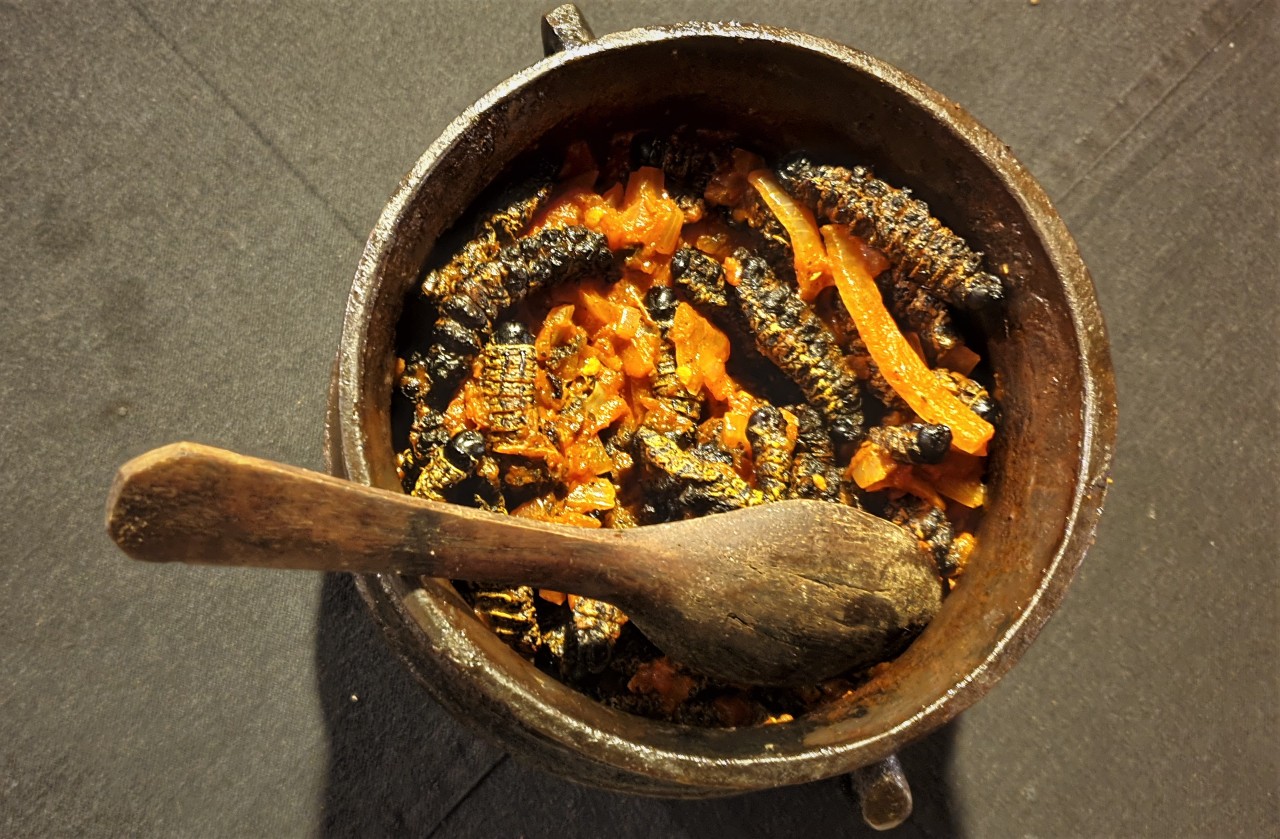 Mopane worms at The Boma - a local cuisine delicacy