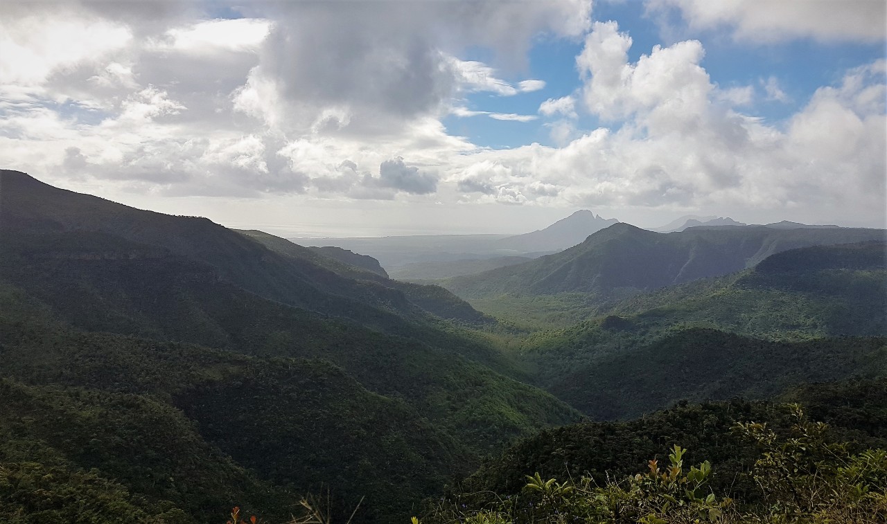 View from Black River Gorges National Park view site
